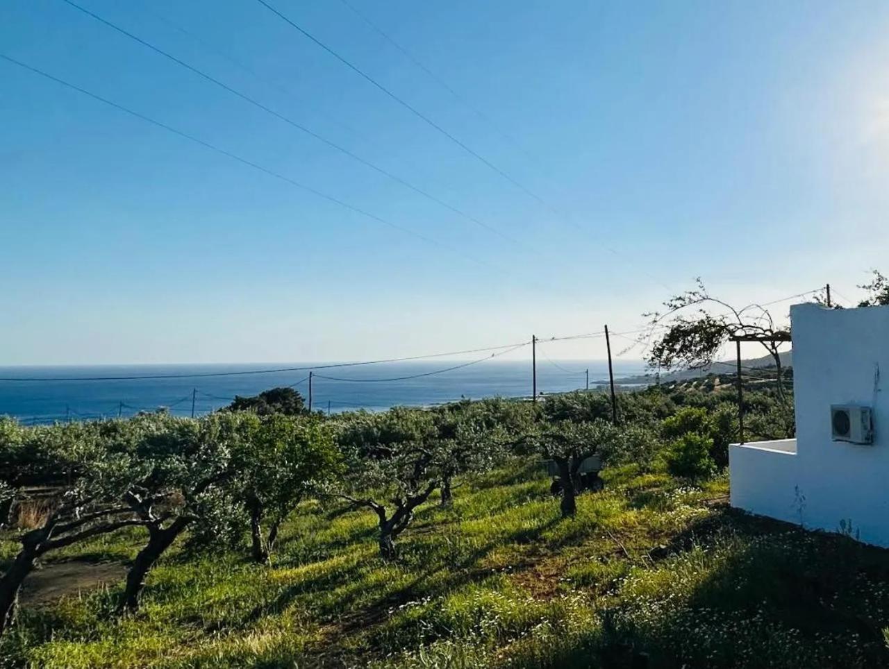 Studios Crete Ферма Экстерьер фото